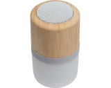 Bluetooth speaker Haarlem